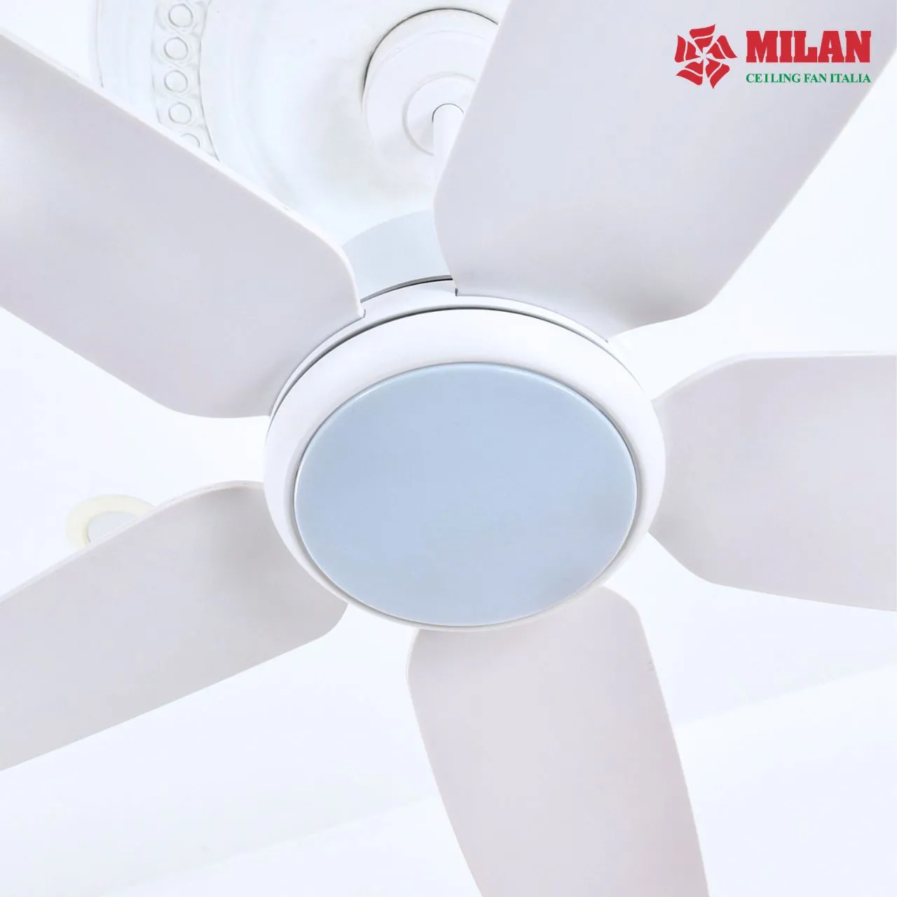 Quạt trần đèn FY568 màu trắng kết hợp đèn led.